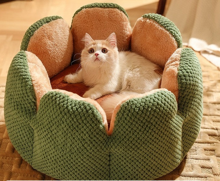 Pelíšek z kaktusových okvětních lístků